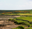 The 12th hole at Kingsbarns Golf Links is a par 5 that hugs the coast the entire way. 